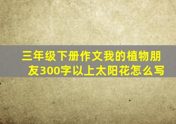 三年级下册作文我的植物朋友300字以上太阳花怎么写