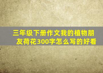 三年级下册作文我的植物朋友荷花300字怎么写的好看