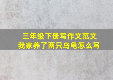 三年级下册写作文范文我家养了两只乌龟怎么写