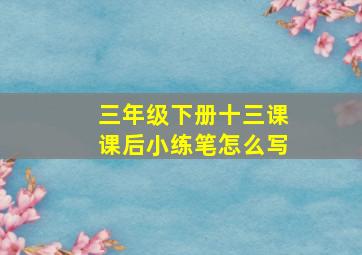 三年级下册十三课课后小练笔怎么写