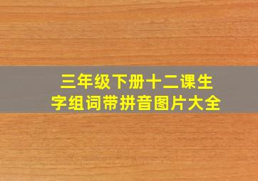 三年级下册十二课生字组词带拼音图片大全