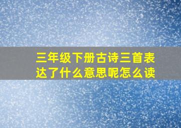 三年级下册古诗三首表达了什么意思呢怎么读