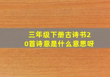 三年级下册古诗书20首诗意是什么意思呀