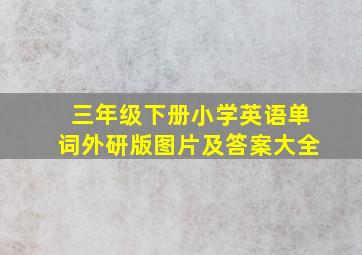 三年级下册小学英语单词外研版图片及答案大全