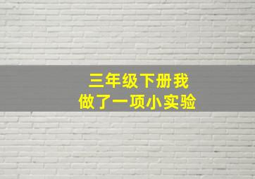 三年级下册我做了一项小实验