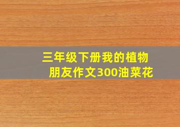 三年级下册我的植物朋友作文300油菜花