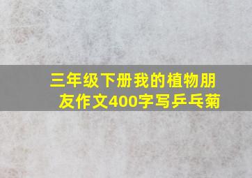 三年级下册我的植物朋友作文400字写乒乓菊