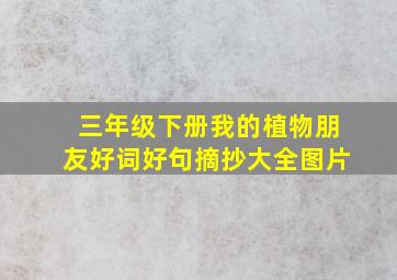 三年级下册我的植物朋友好词好句摘抄大全图片