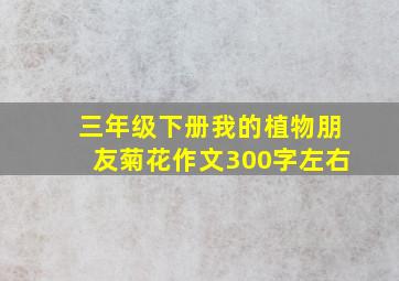 三年级下册我的植物朋友菊花作文300字左右