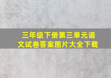 三年级下册第三单元语文试卷答案图片大全下载