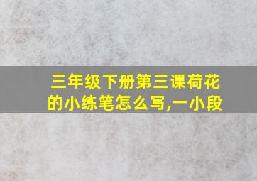 三年级下册第三课荷花的小练笔怎么写,一小段