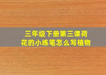 三年级下册第三课荷花的小练笔怎么写植物