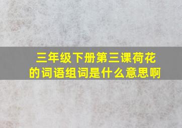 三年级下册第三课荷花的词语组词是什么意思啊