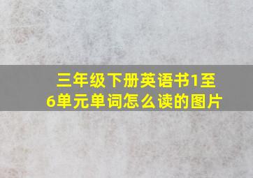 三年级下册英语书1至6单元单词怎么读的图片