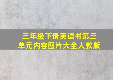 三年级下册英语书第三单元内容图片大全人教版