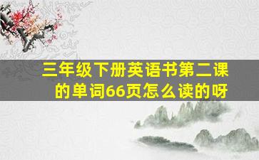 三年级下册英语书第二课的单词66页怎么读的呀