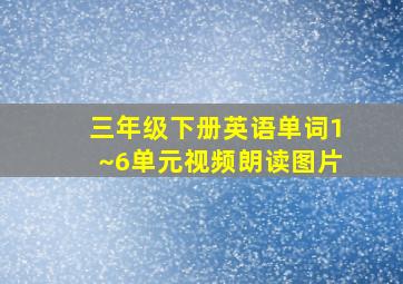 三年级下册英语单词1~6单元视频朗读图片