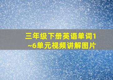 三年级下册英语单词1~6单元视频讲解图片