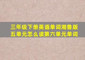 三年级下册英语单词湘鲁版五单元怎么读第六单元单词