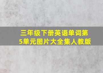 三年级下册英语单词第5单元图片大全集人教版