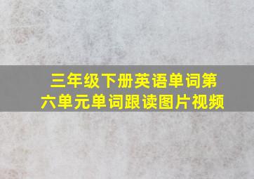 三年级下册英语单词第六单元单词跟读图片视频