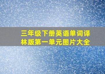 三年级下册英语单词译林版第一单元图片大全