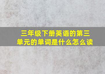 三年级下册英语的第三单元的单词是什么怎么读