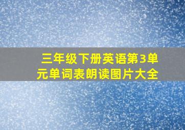 三年级下册英语第3单元单词表朗读图片大全