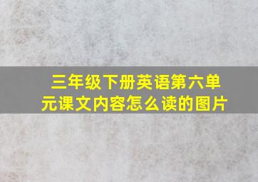 三年级下册英语第六单元课文内容怎么读的图片