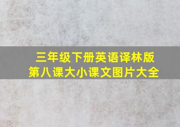 三年级下册英语译林版第八课大小课文图片大全