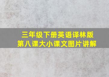 三年级下册英语译林版第八课大小课文图片讲解