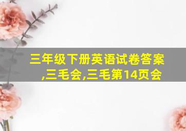 三年级下册英语试卷答案,三毛会,三毛第14页会