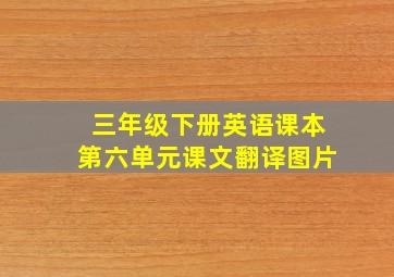 三年级下册英语课本第六单元课文翻译图片