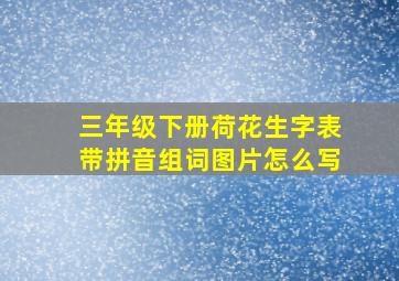 三年级下册荷花生字表带拼音组词图片怎么写