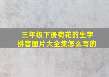 三年级下册荷花的生字拼音图片大全集怎么写的