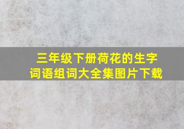 三年级下册荷花的生字词语组词大全集图片下载