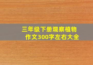 三年级下册观察植物作文300字左右大全