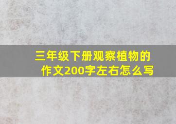 三年级下册观察植物的作文200字左右怎么写