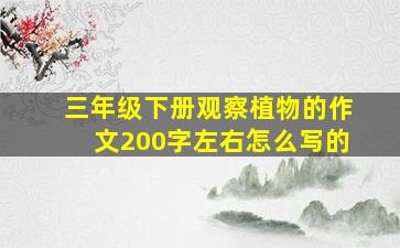 三年级下册观察植物的作文200字左右怎么写的