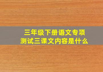 三年级下册语文专项测试三课文内容是什么