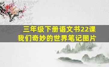 三年级下册语文书22课我们奇妙的世界笔记图片