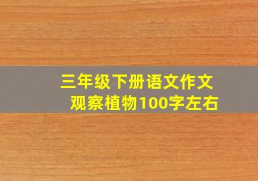 三年级下册语文作文观察植物100字左右