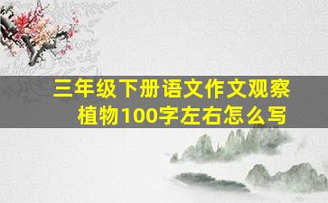 三年级下册语文作文观察植物100字左右怎么写