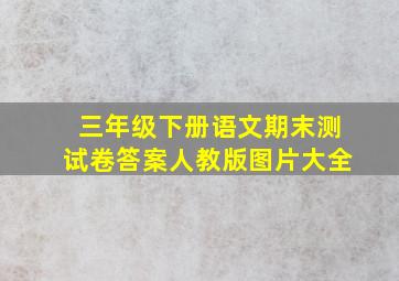 三年级下册语文期末测试卷答案人教版图片大全