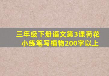 三年级下册语文第3课荷花小练笔写植物200字以上