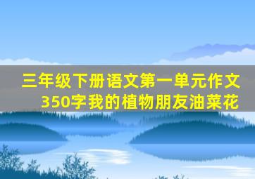 三年级下册语文第一单元作文350字我的植物朋友油菜花