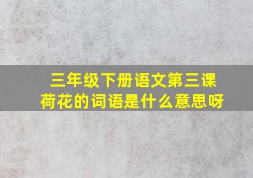 三年级下册语文第三课荷花的词语是什么意思呀