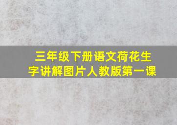 三年级下册语文荷花生字讲解图片人教版第一课