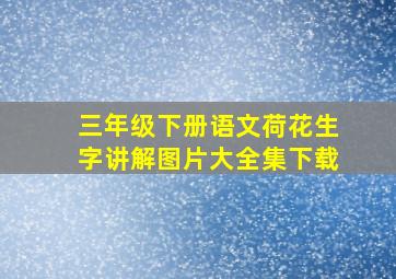 三年级下册语文荷花生字讲解图片大全集下载