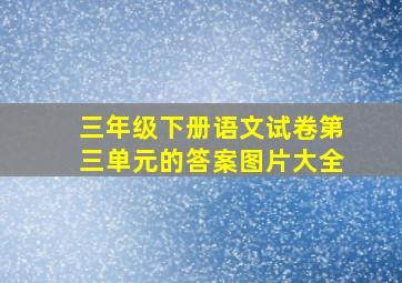 三年级下册语文试卷第三单元的答案图片大全